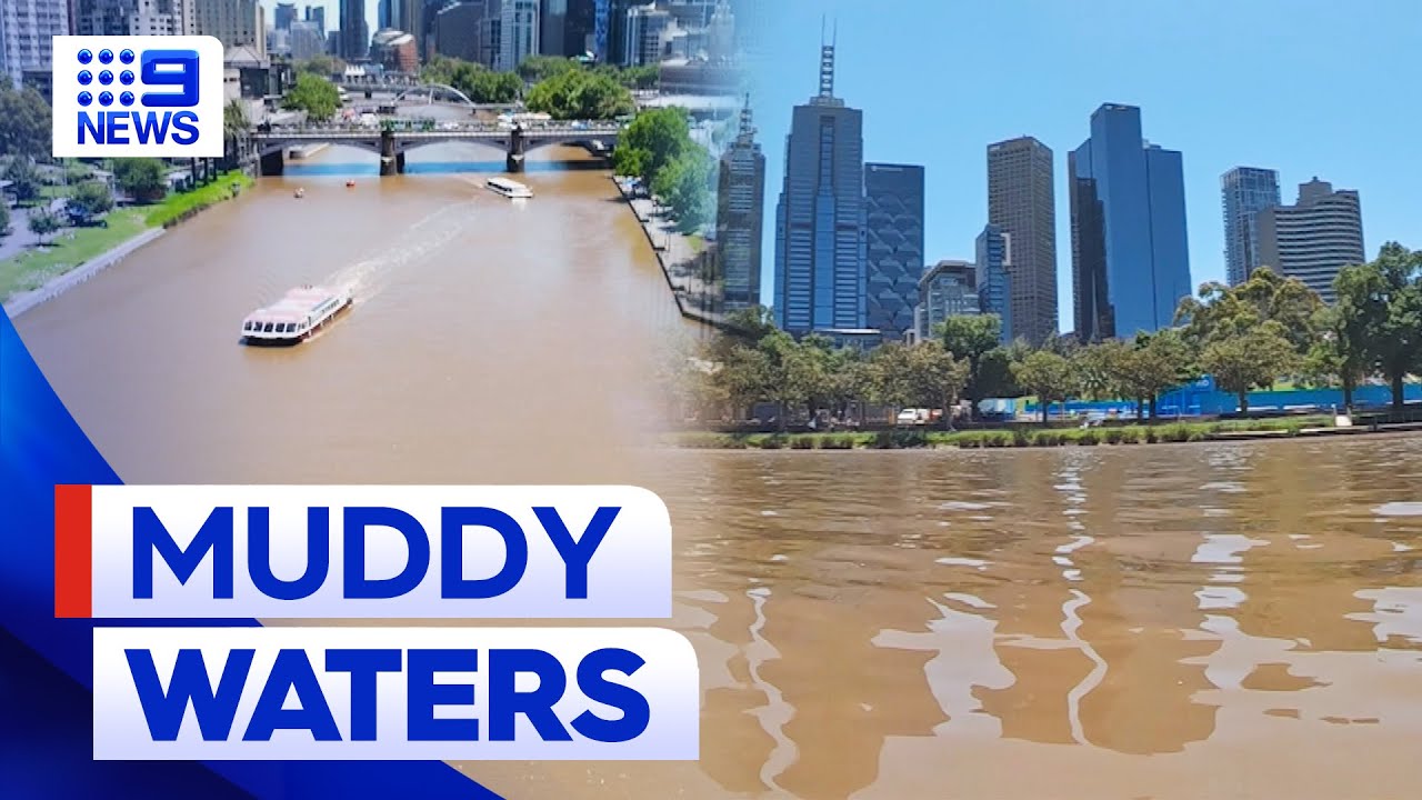 Yarra River impacted by heavy downpours across Victoria | 9 News Australia