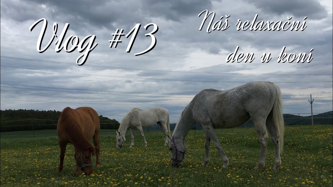 Vlog #13 // Náš relaxační den u koní