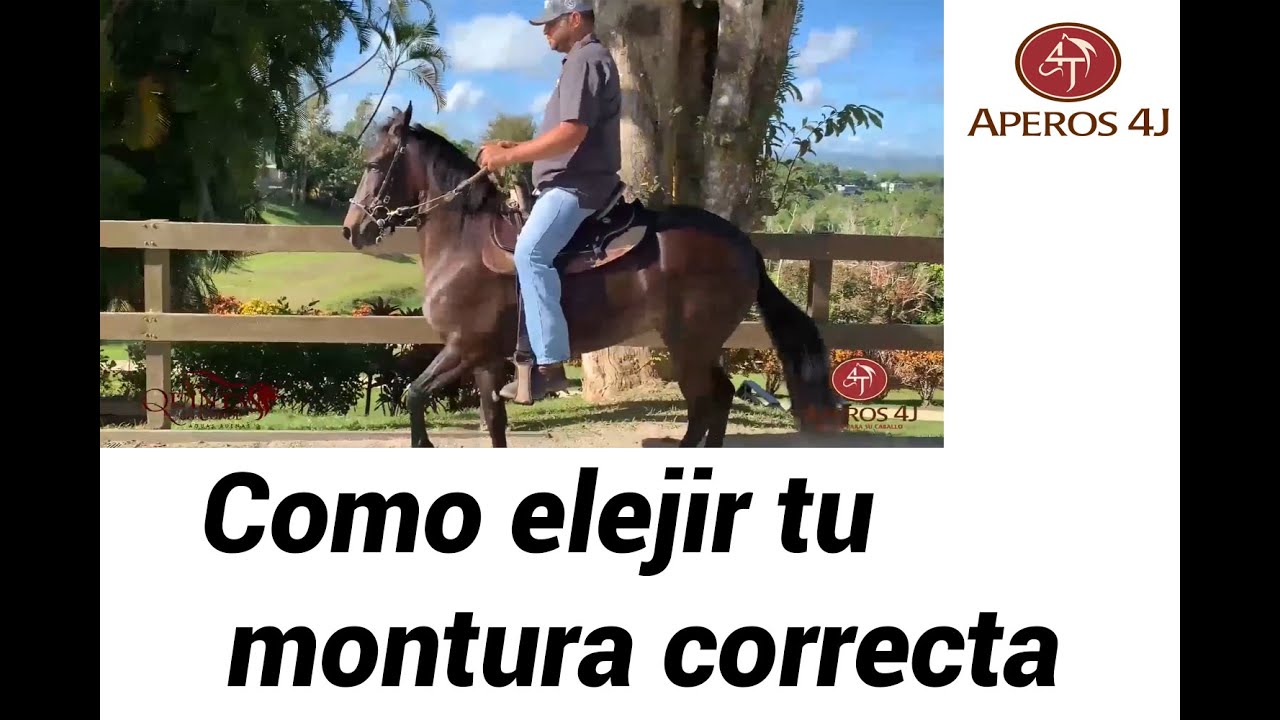 Relincho #17 Como elegir la montura ideal
