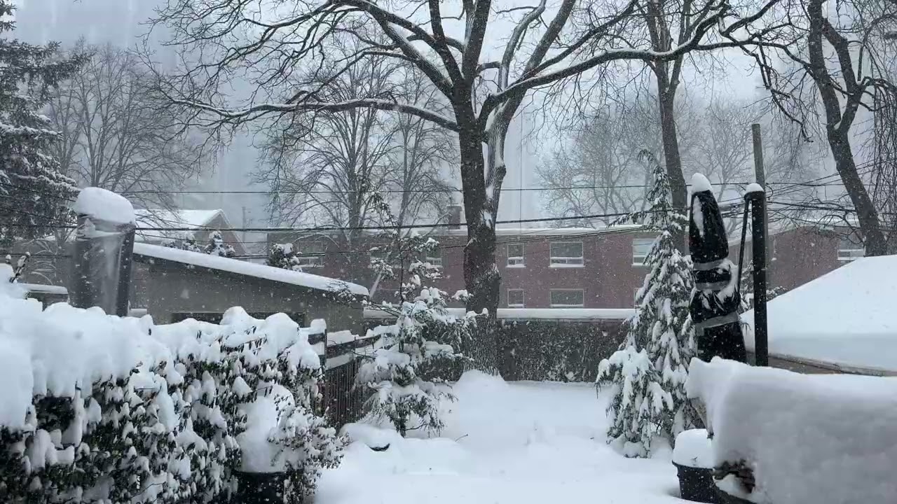Snowy Toronto 01