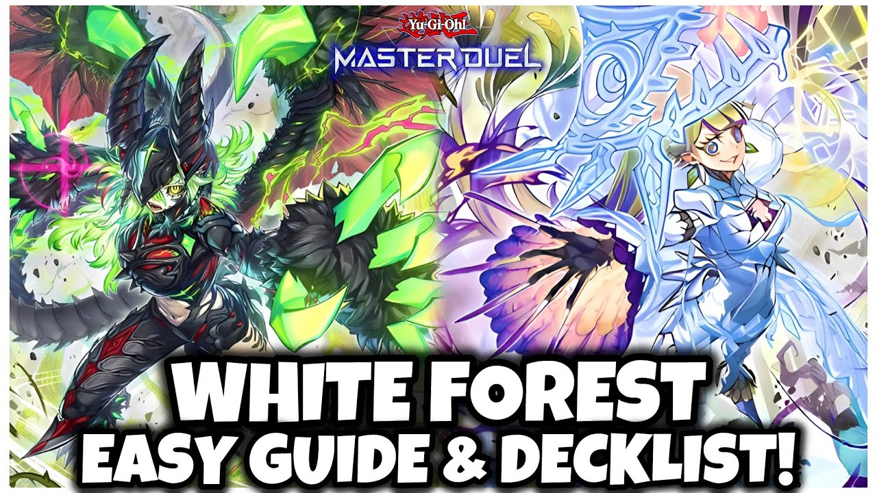 WHITE FOREST AZAMINA | EASY GUIDE & DECKLIST!