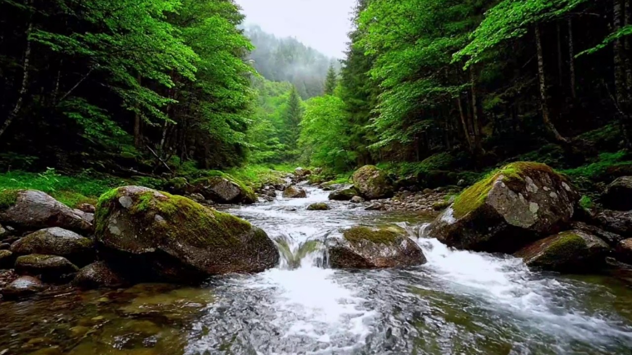 REALISTIC RIVER FLOW AMBIENCE FOR DEEP SLEEP, STUDY, RELAXATION AND INSOMNIA RELIEF | 11 HOURS