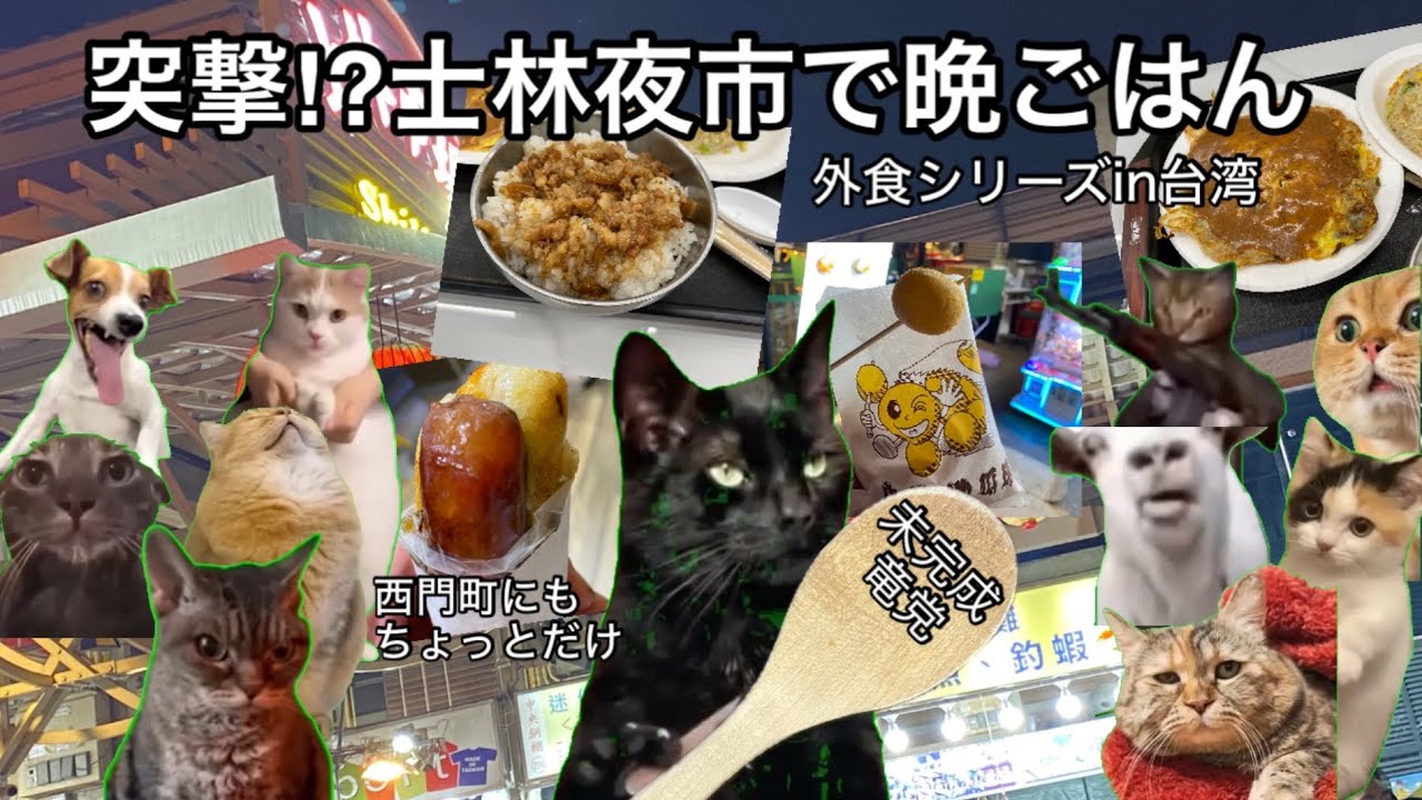 中日ファンが士林夜市でいろいろ食べただけの話【猫ミーム】　#猫ミーム #士林夜市 
