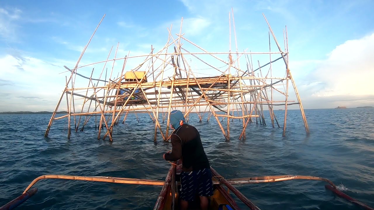 🐟 Fish Trapping | 2021 Episode 5 (Mervin) | Our last video of the season