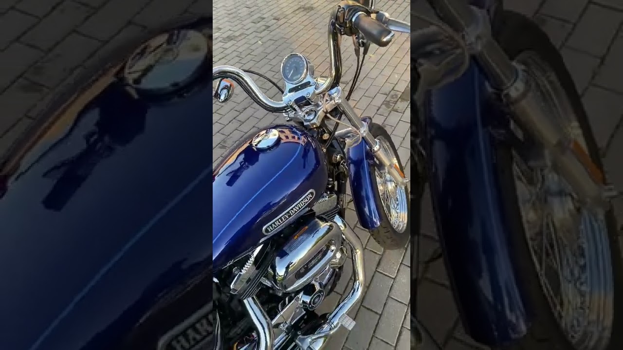 Harley-Davidson Sportster Xl1200L 2007