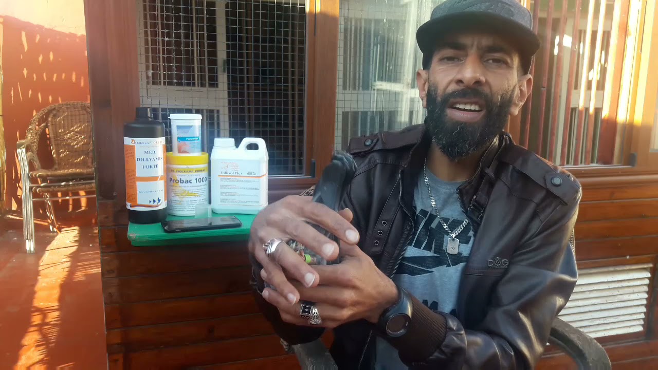 ما لا يعرفه 90% ديال المواليع عن الأدوية البيطرية.هام وخاص بالعائلة.ولا يكلف الله نفسا إلا وسعها☝️🕊💚