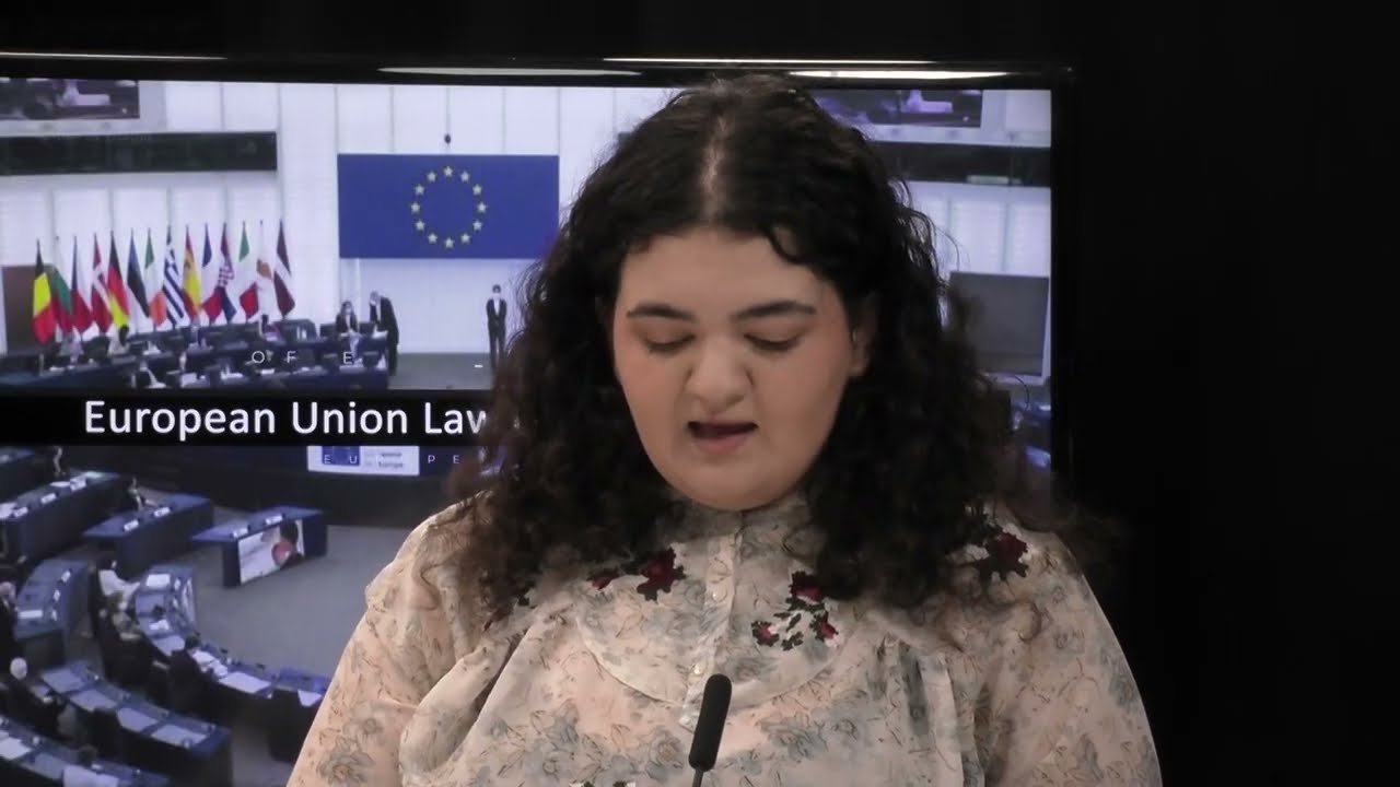 Future of europe   Tuba Cicek   Malamud   access to hamonised standards and the constiutionalisation