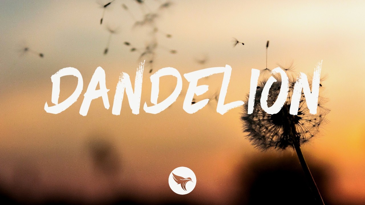 Ella Langley - Dandelion (Lyrics)
