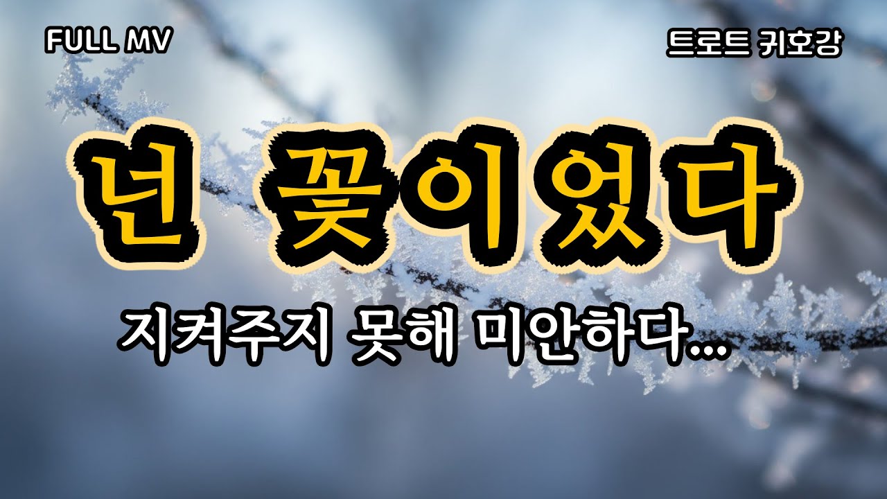 [트로트 신곡] 널 지켜 주지 못한 내가 미안하다...지켜주지 못한 사랑... 겨울에 남은 그리움 | 너는 꽃이었다 | 감성트로트