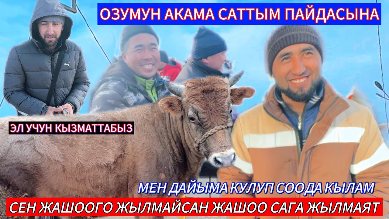 15.01.2026ж ОШ ОБЛ АРАВАН МАЛ БАЗАР