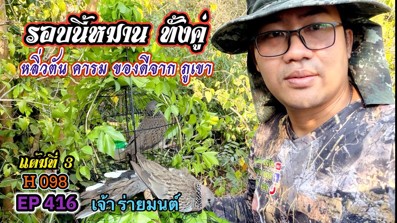 หมานทั้งคู่ | หลิ่วตัน คารม | เกือบสิ้นชื่อนกฝึก อันตรายมากช่วงนี้ EP.416