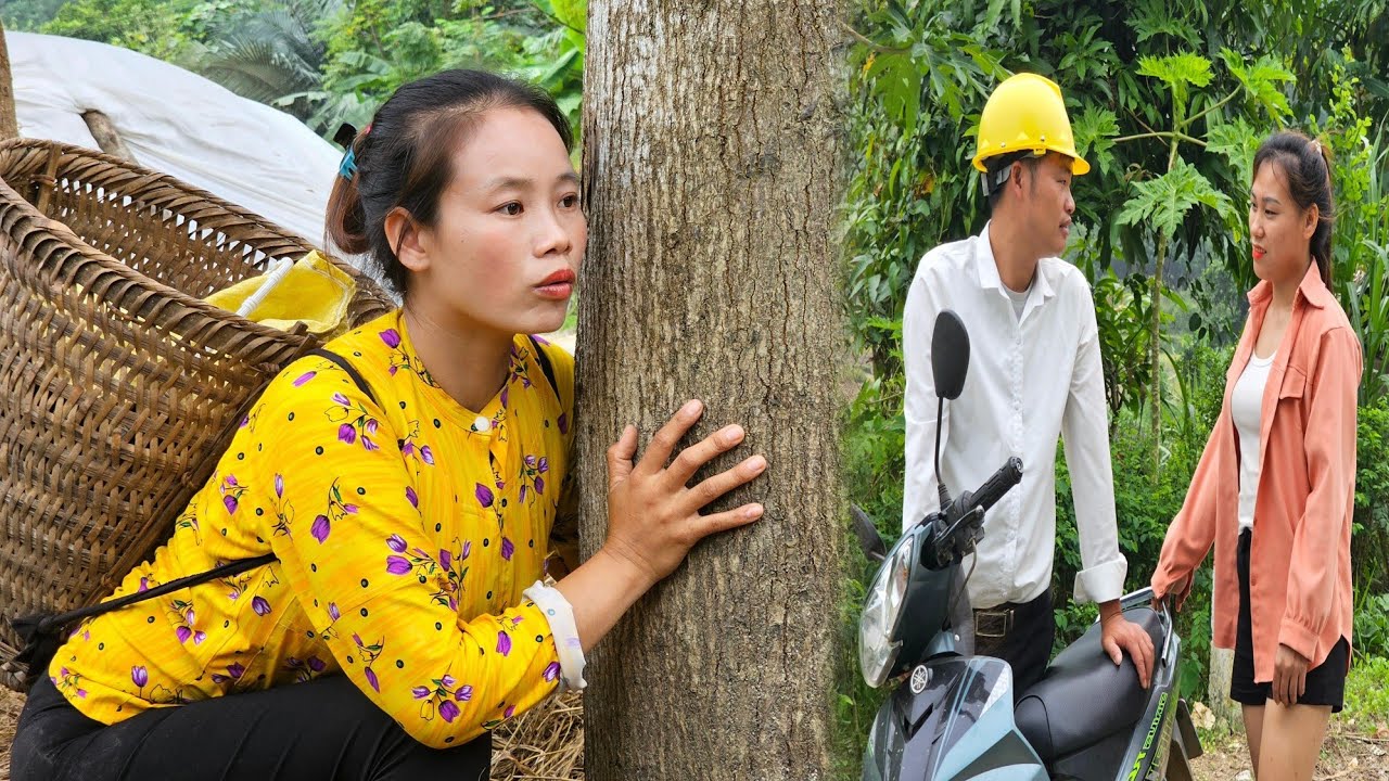 Sai was surprised to see Dung with another girl - Harvesting ferns for sale l Lý Thị Sai