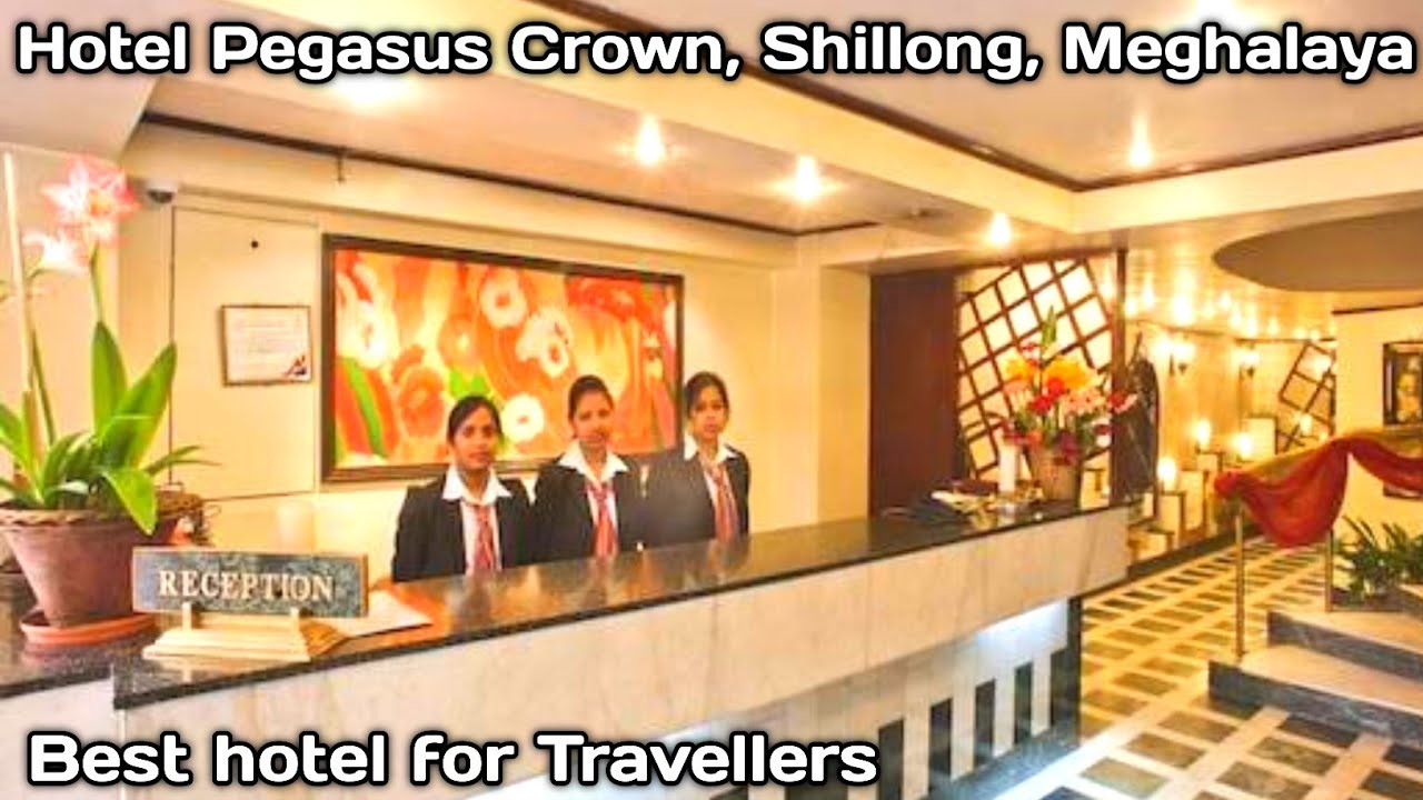 Best Hotel For Travellers in Shillong | Hotel Pegasus Crown | Executive Room Tour | Travellers Vlog