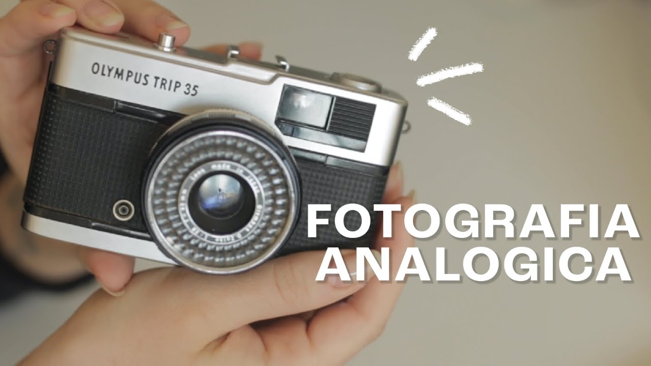 fotografia analógica para iniciantes | dicas de como começar