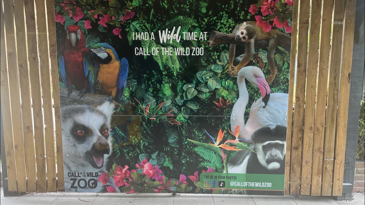 Call of the wild zoo