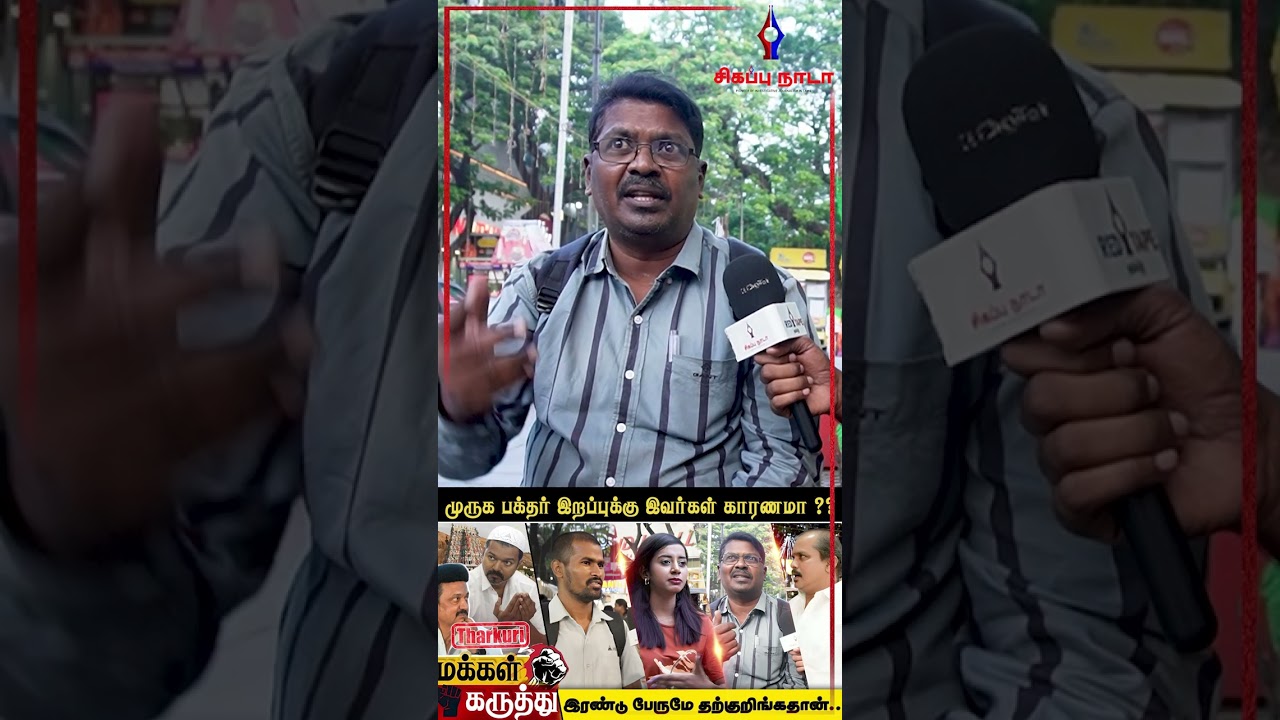 இரண்டு பேருமே தற்குறிங்கதான் | DMK | TVK | MK STALIN | TVK VIJAY | BJP | TVK FANS|