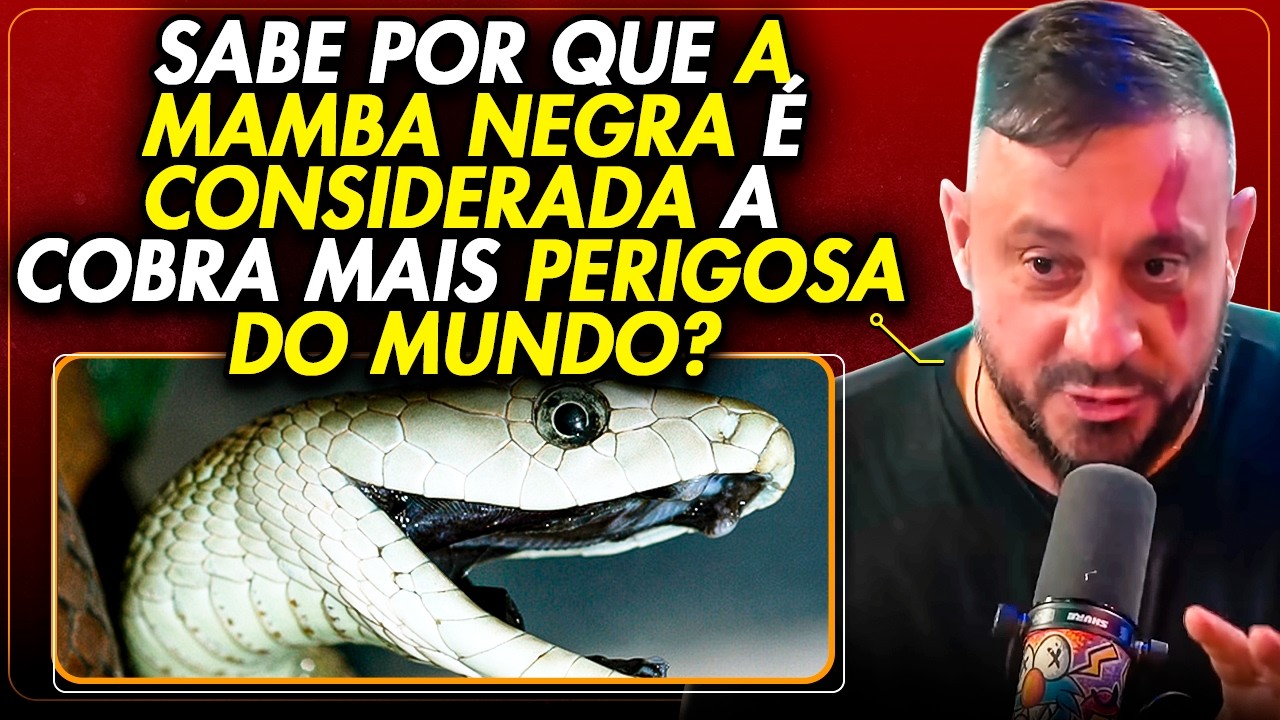 QUAL É A COBRA MAIS PERIGOSA DO MUNDO? RICHARD RASMUSSEN e BIÓLOGO HENRIQUE