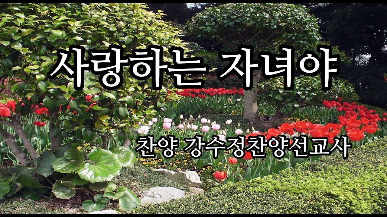 사랑하는 자녀야(찬양 강수정찬양선교사)