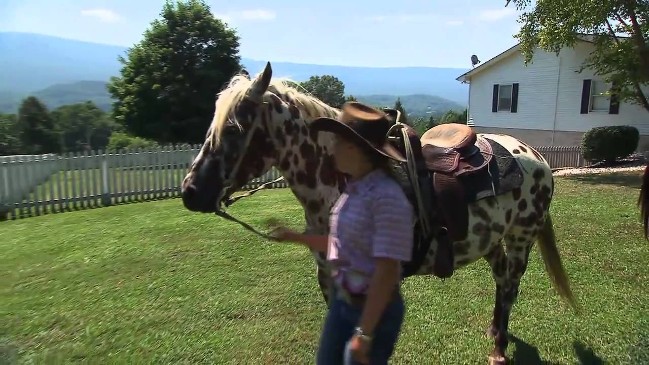 Tennessee Dude & Guest Ranch | Tennessee Crossroads | Episode 2415.2