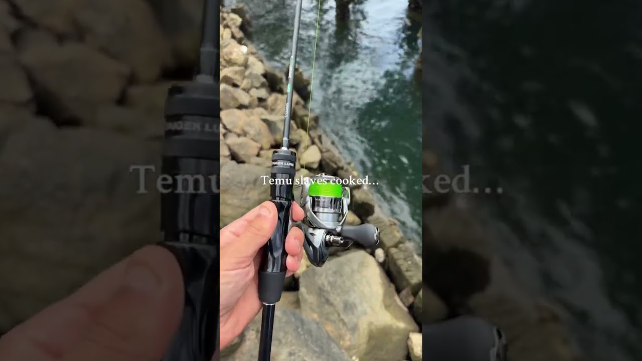 I Bought a $12 Fishing Rod from Temu&hellip; You Won&rsquo;t Believe What It Caught 😳🔥