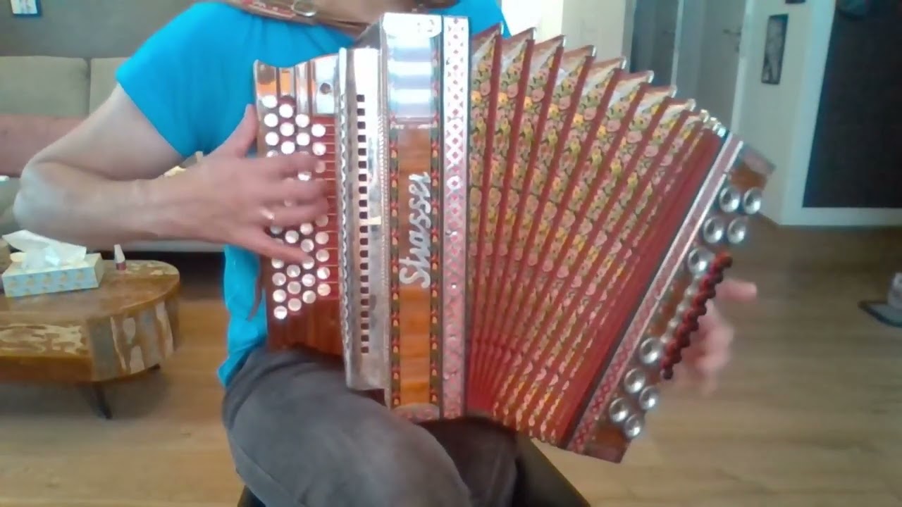 Raabtal Landler - Steirische Harmonika #eigenkomposition #volksmusik #steirische #ziach #herbst