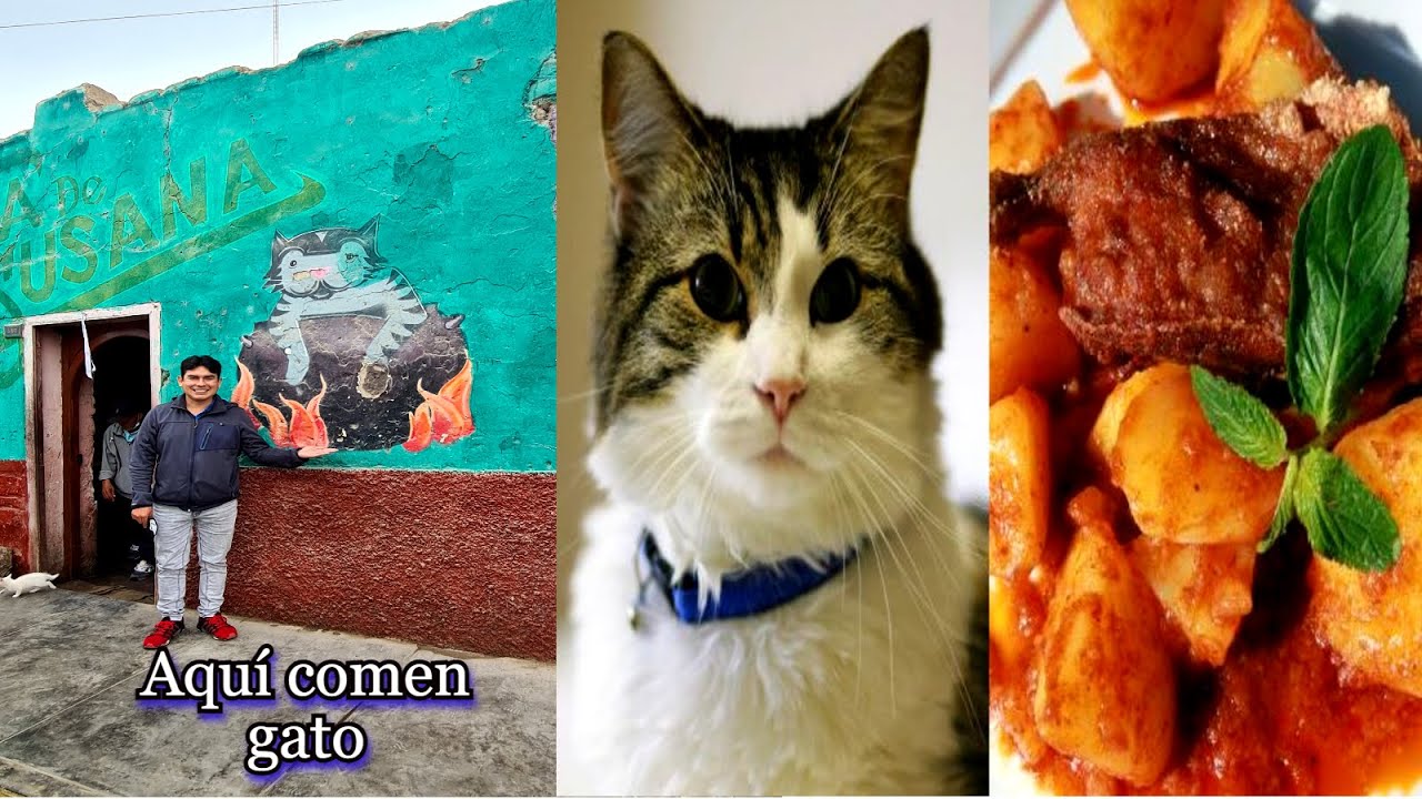 La ciudad peruana en donde comen gato (El Carmen, Chincha)