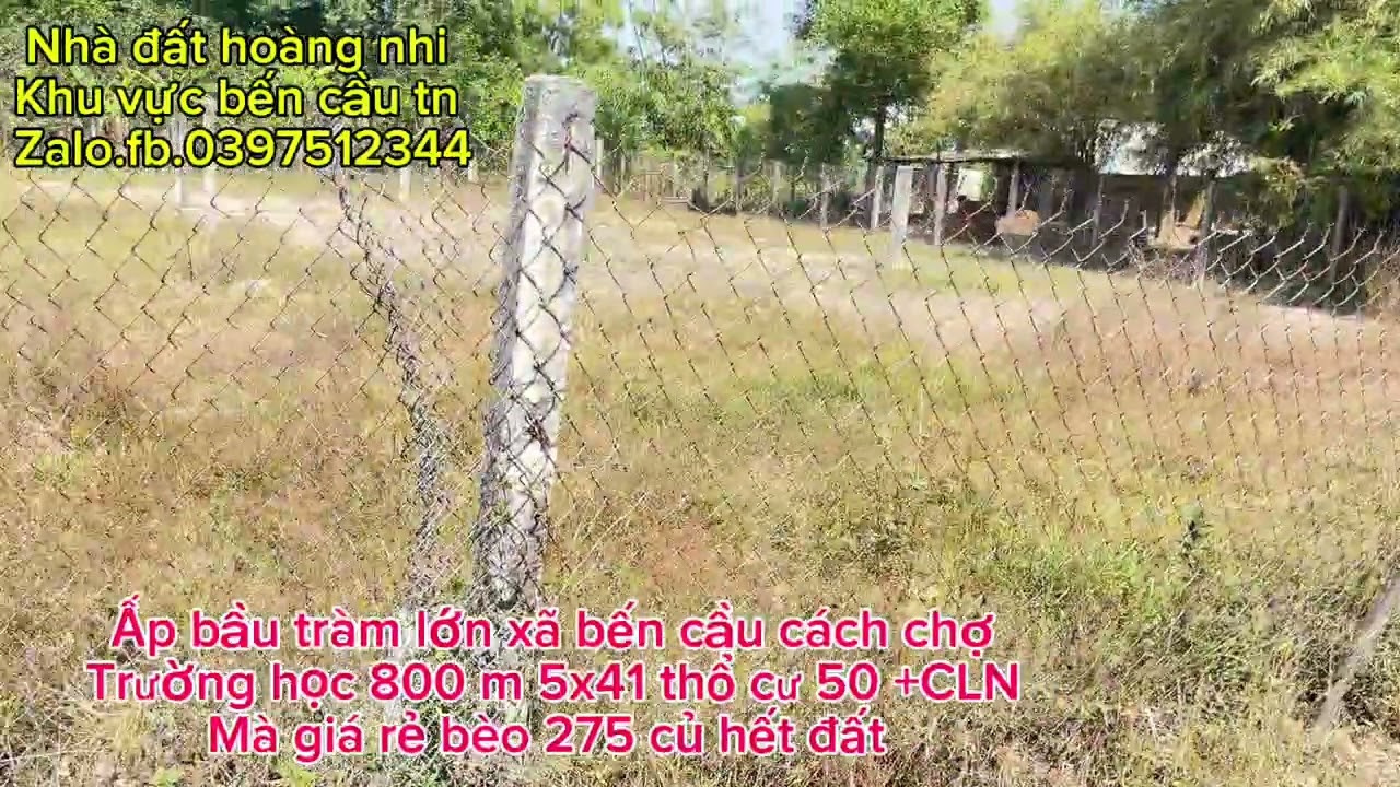 ngày 21 tháng 1, 2026