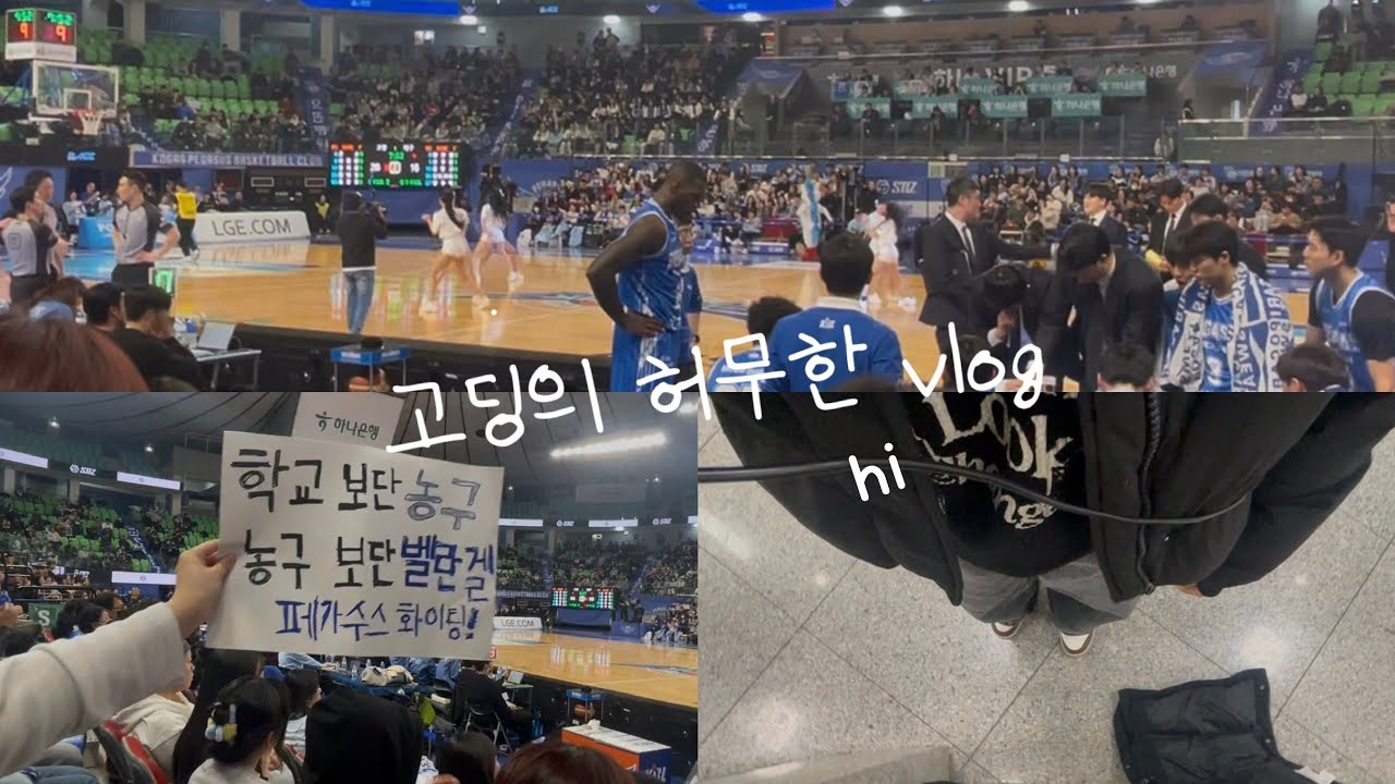 VLOG I 응원석은 처음... 농구 직관 하루 브이로그 대구 한국 가스공사 VS 고양 소노