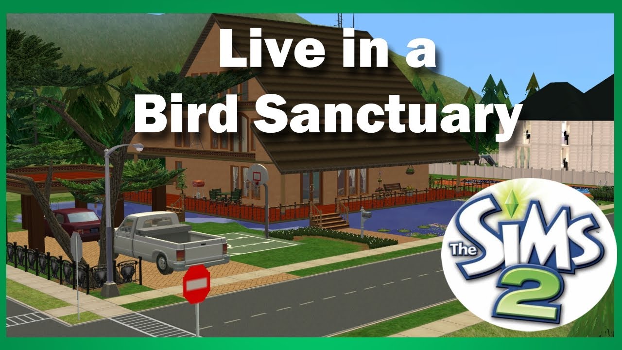Sims 2 Speedbuild: Live in a beautiful Bird Sanctuary