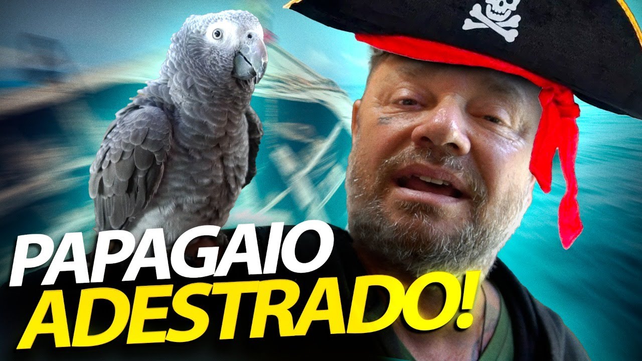NOSSO PAPAGAIO DO TIMNEH ESTÁ SENDO ADESTRADO! | A CASA DOS BICHOS