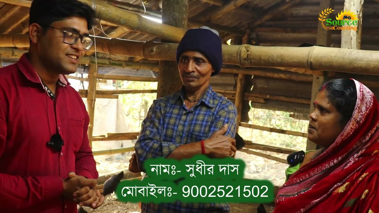 কালো মুরগি চাষে মাসে Rs- 16,000/- | Kadaknath | Kalo masi | karaknath farming