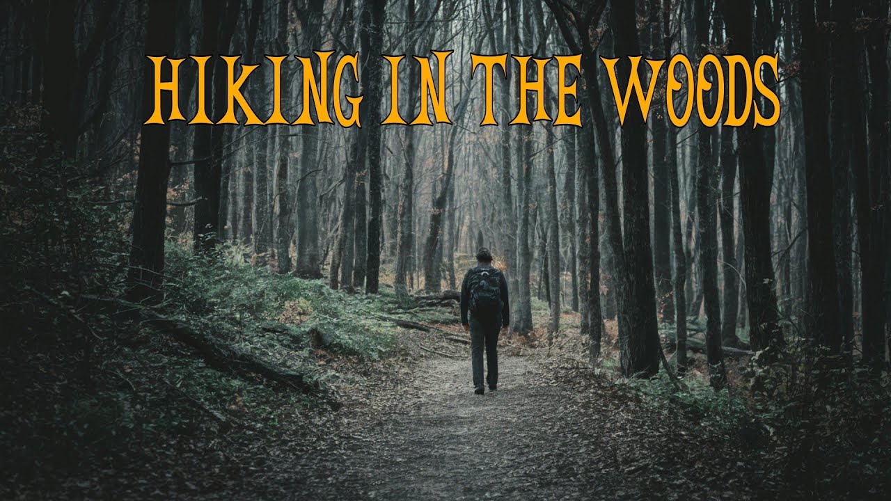 16 Scary True Hiking In The Woods Horror Stories | With Rain Sounds