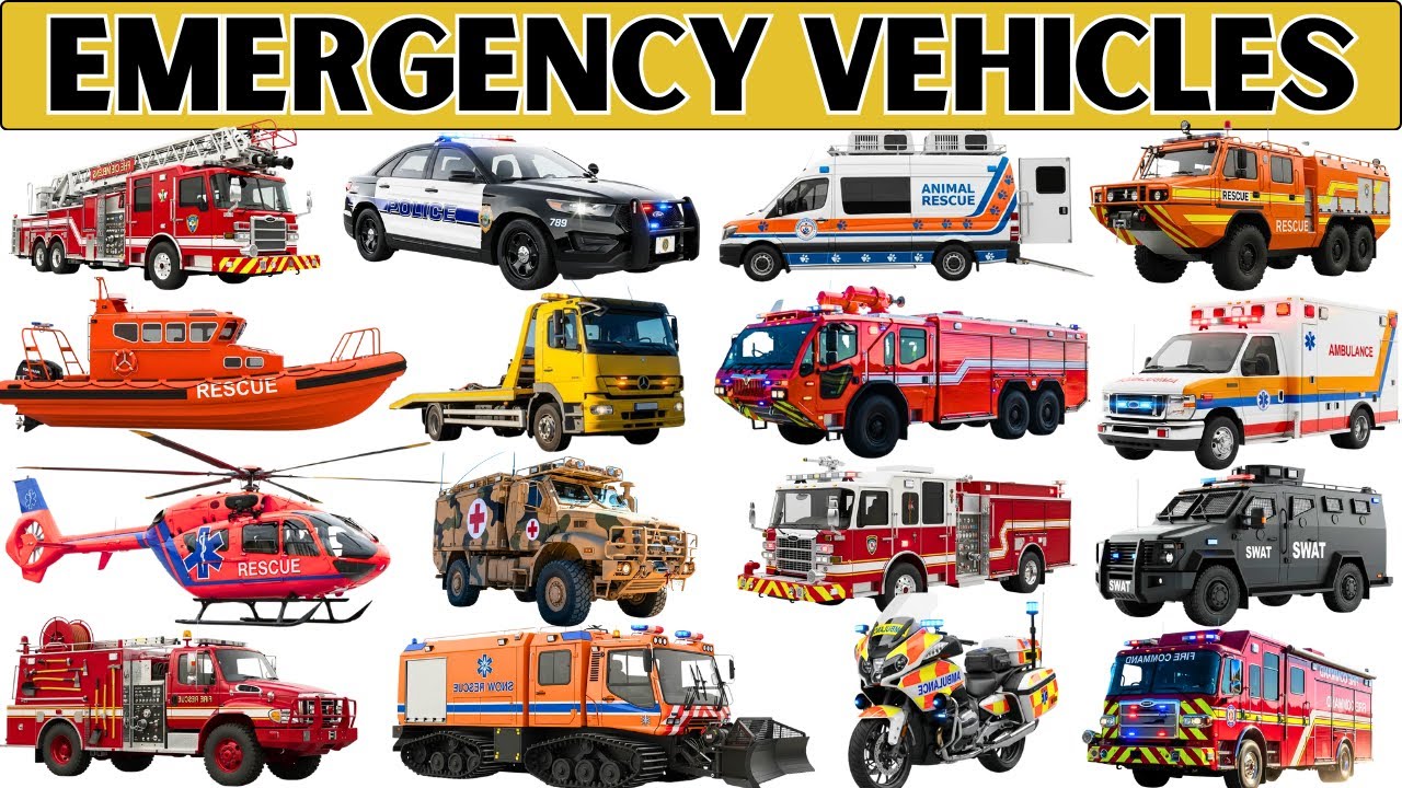 Машины скорой помощи для детей 🚑🚒🚓 | Узнайте о пожарных машинах, машинах скорой помощи, полицейск...