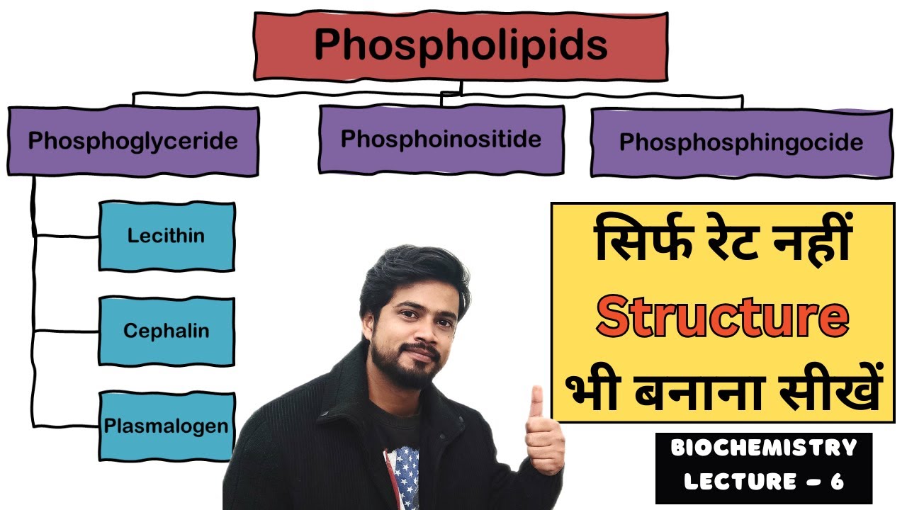 Phospholipids and its Types || Biochemistry Lecture in Hindi