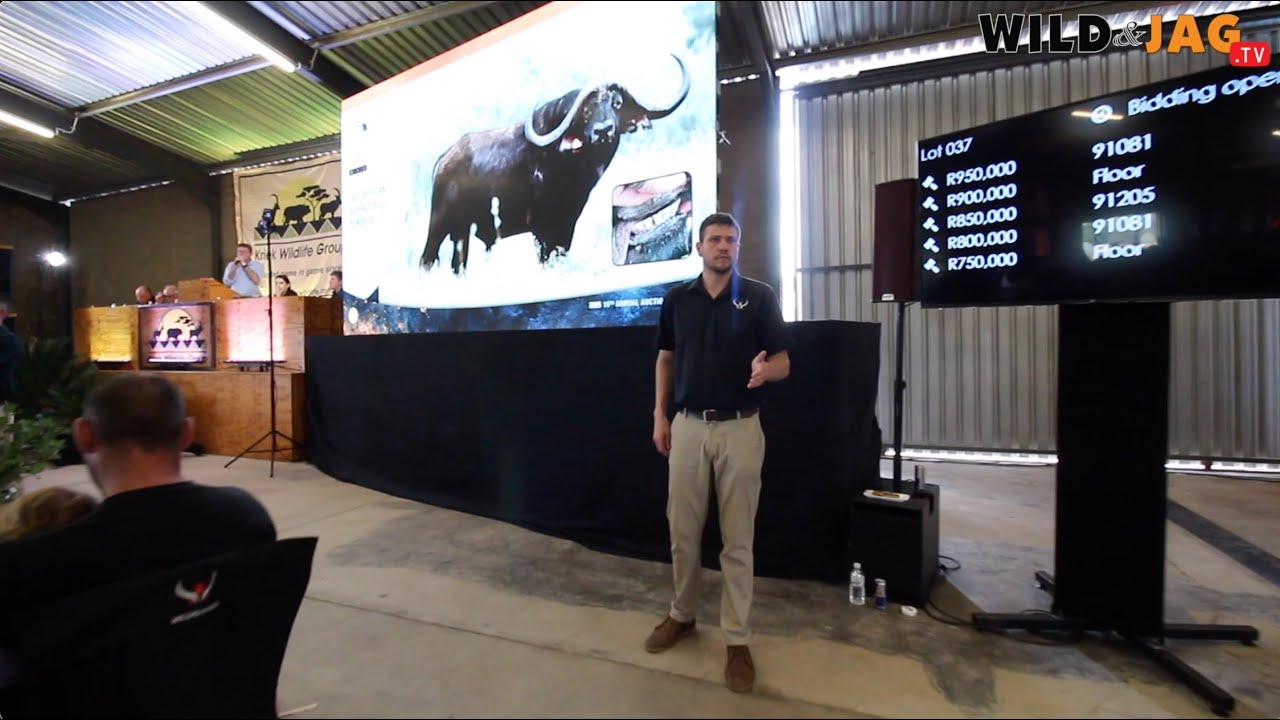 Kriek Wildlife Group Auction  2025