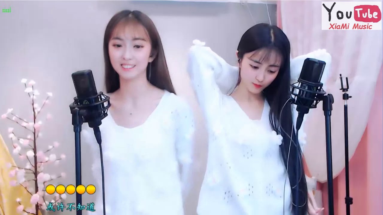 双儿 - 我热情如火, 你冰冻成河 (DJ版) 💕