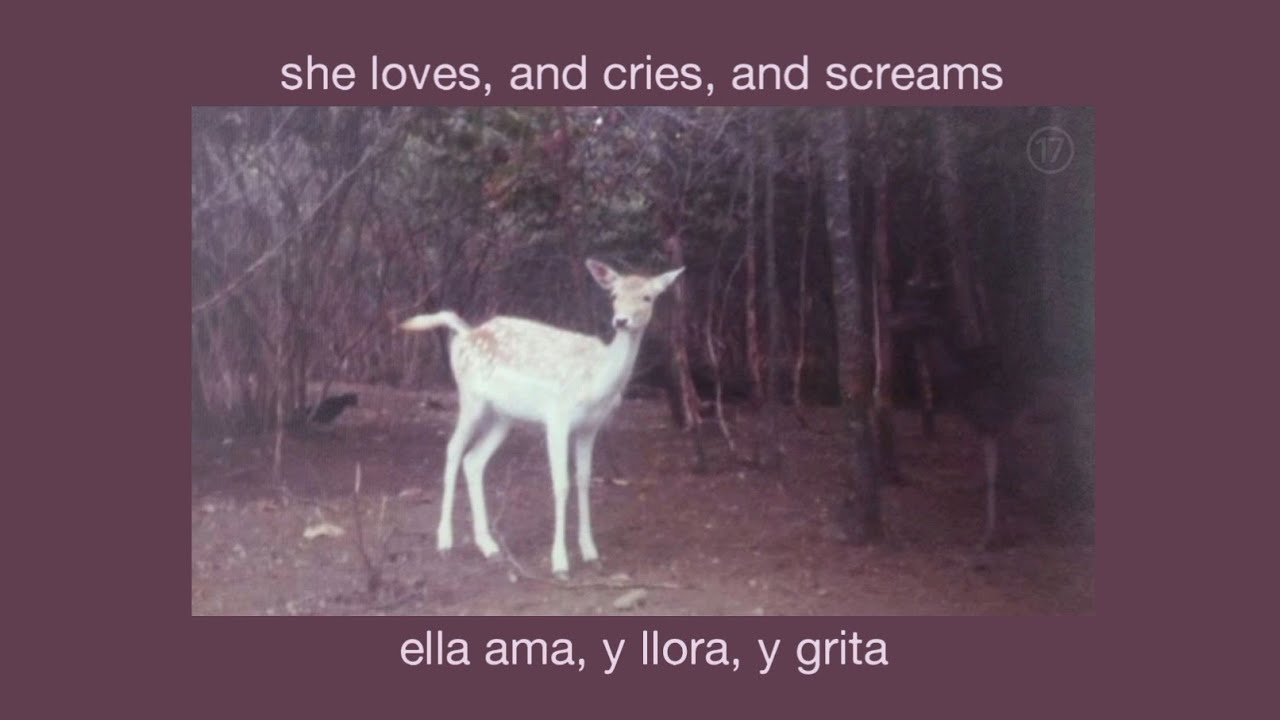 chandeen – mirror (letra/lyrics)