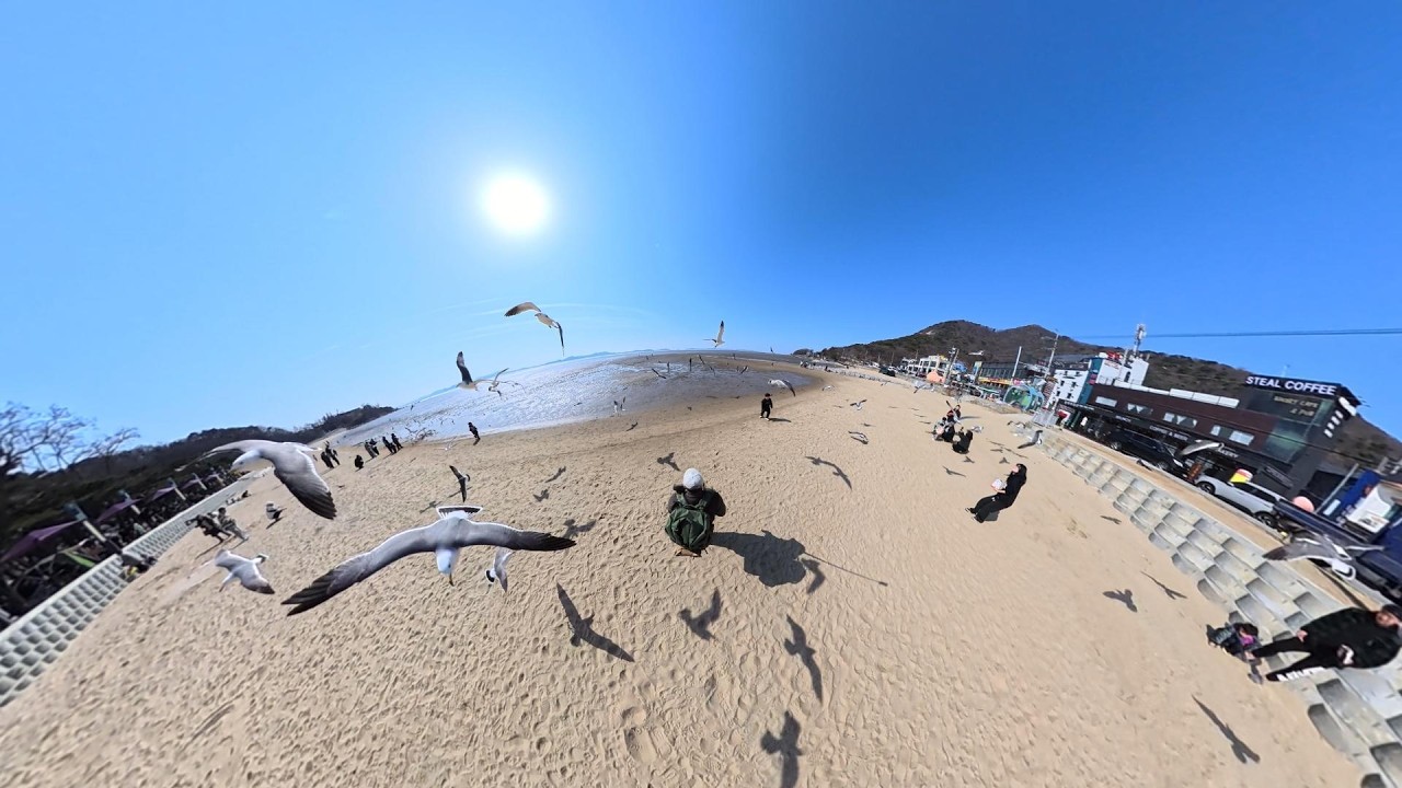 260228 강화 황산도/동검도/동막해수욕장 외 (#황산도 #동검도 #강화도 #avata2 #mavic4pro #insta360x5 )