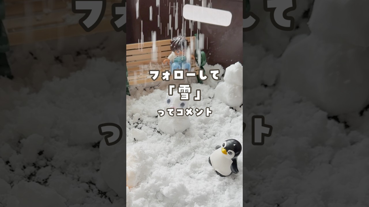 Instagramでフォロー＆Instagramで「雪」とコメントしてね⭐️溶けない雪遊び！