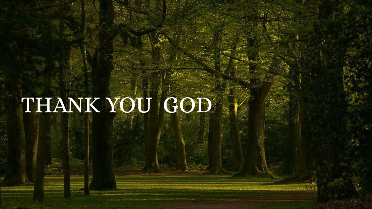 Thank You God|Grateful to God for Everything