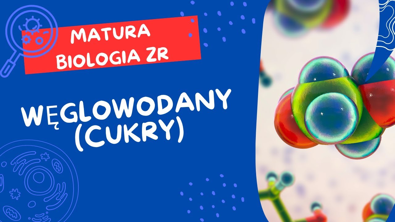 Węglowodany. MATURA BIOLOGIA ZR