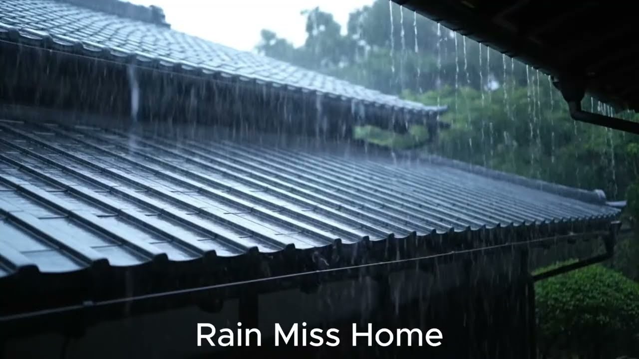 🔴 Heavy Rain on a Tin Roof for Sleeping 24/7, Sleep Instantly with Rain Sounds- Rain Miss Home