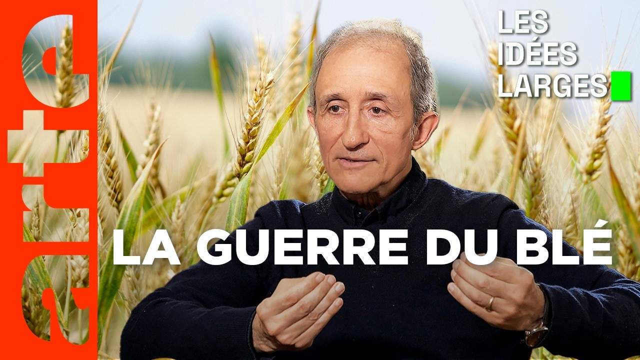 Peut-on avoir le blé et l'argent du blé ? | Les idées larges | ARTE