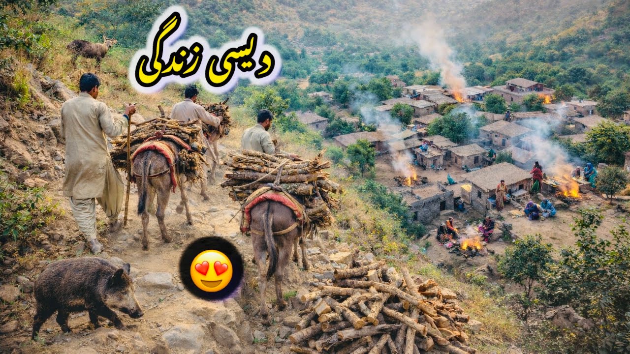 پہاڑوں میں لوگ گھروں میں لکڑی جلانے کے لئے کیسے لاتے ہیں جنگل میں سے.  ￼￼😍 ￼. ￼￼