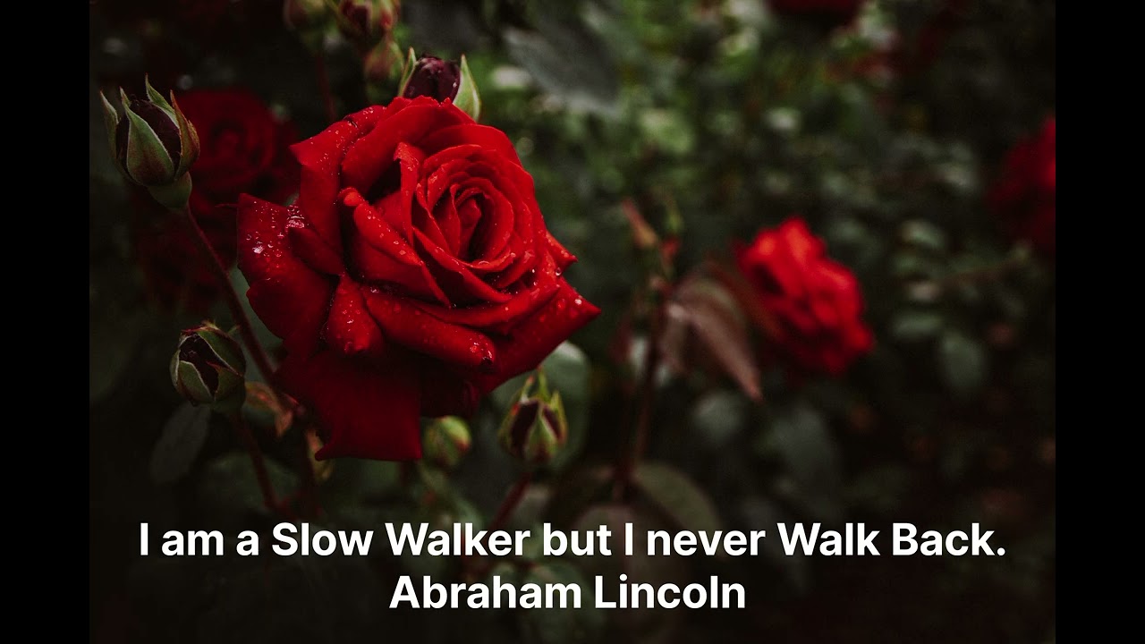 Patience quote by Abraham Lincoln
