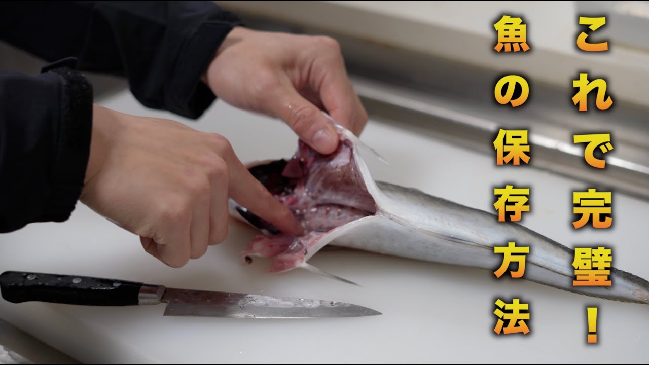 【簡単】鮮度をキープする魚の保存方法