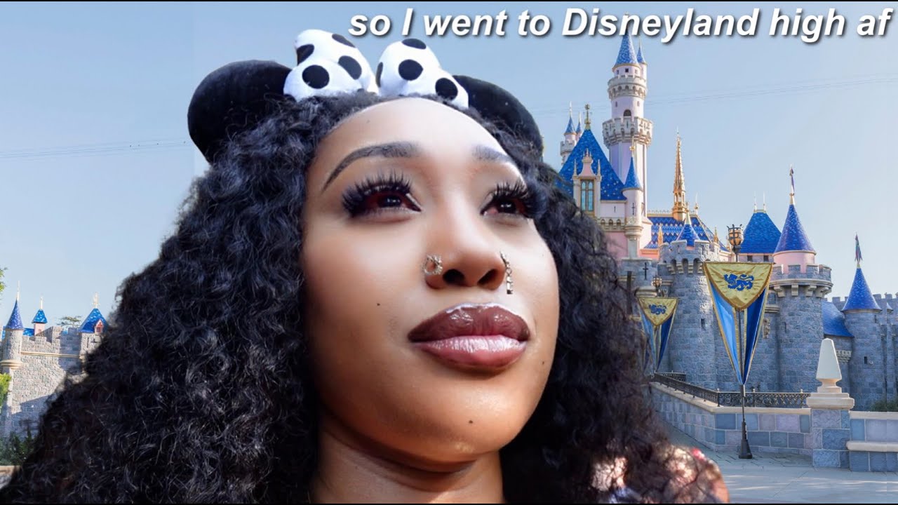 i went to disneyland high af off 8 edibles