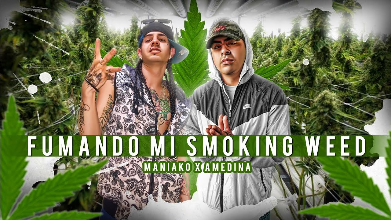Fumando Mi Smoking Weed - Maniako ft. A Medina