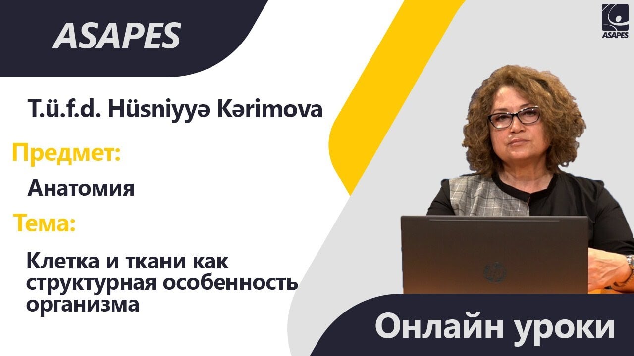ONLAYN DƏRSLƏR | Анатомия - Клетка и ткани как структурная особенность организма