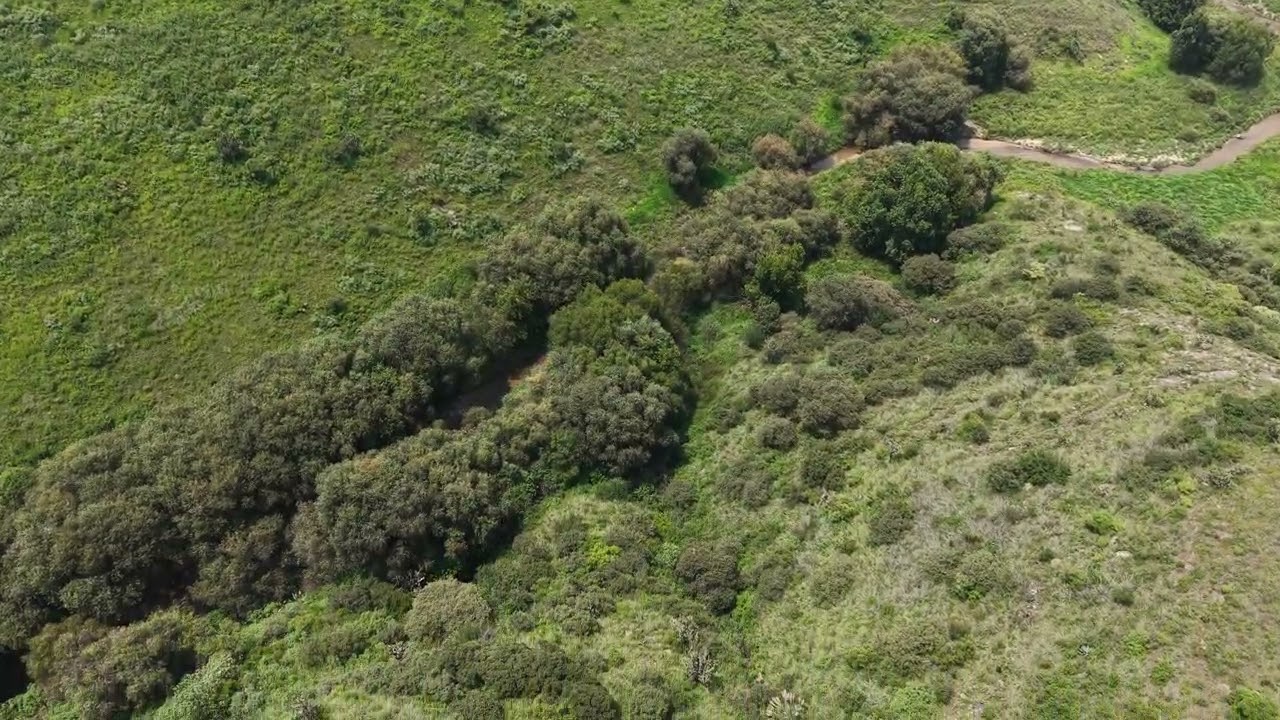 Montebosco Torre Fresno | Las Mejores Vistas del Valle de México